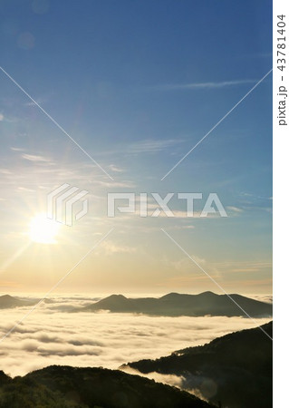 北海道　朝日と広大な雲海 43781404