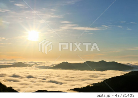 北海道　朝日と広大な雲海 43781405