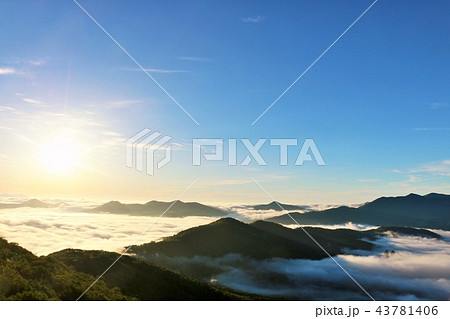 北海道　朝日と広大な雲海 43781406