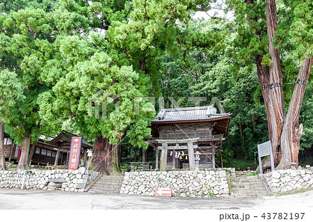 武田八幡宮 武田八幡神社 山門の写真素材