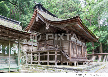 武田八幡宮 武田八幡神社 本殿の写真素材 4370