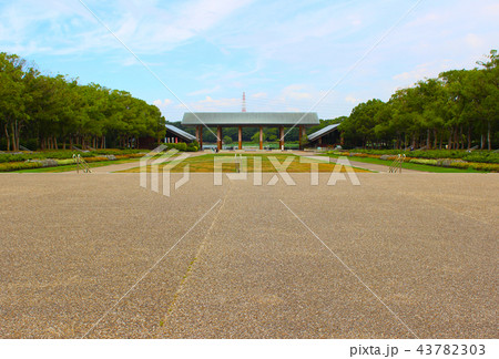 大泉緑地･中央花壇/大阪府堺市北区金岡町 43782303