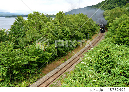 夏の大自然を行くSL函館大沼号 43782495