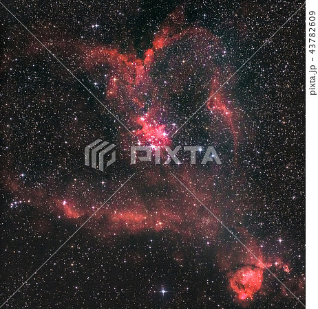 IC1805 ハート星雲 43782609