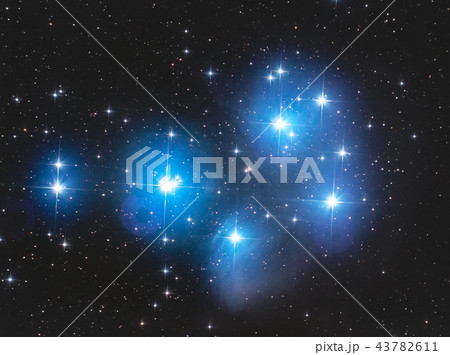 M45プレアデス星団 43782611