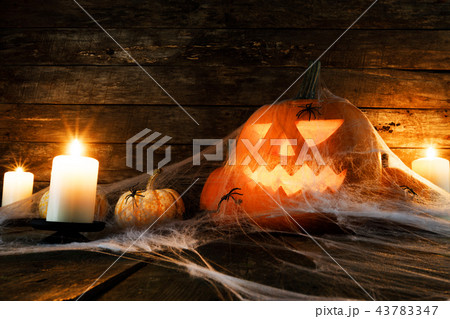 Halloween pumpkin and spiders Halloween pumpkin and spiders 43783347