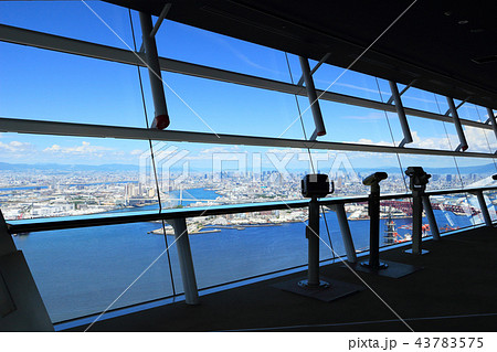大阪府咲洲庁舎展望台 43783575