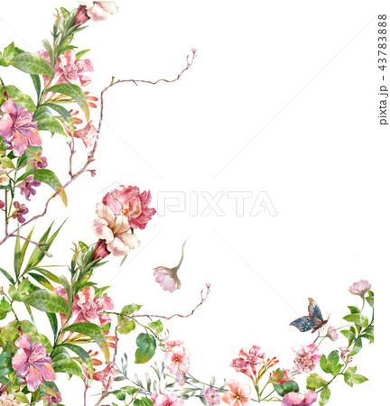 watercolor painting of leaves and flower, on white 43783888