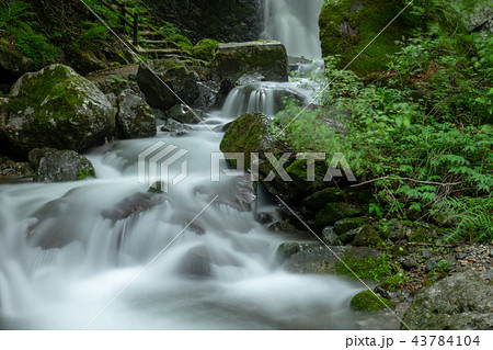 蛇渕の滝遊歩道 上流 の写真素材