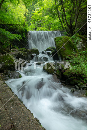 蛇渕の滝遊歩道 上流 の写真素材