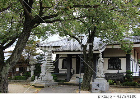 茨城県真壁の町並み（密弘寺） 43784180