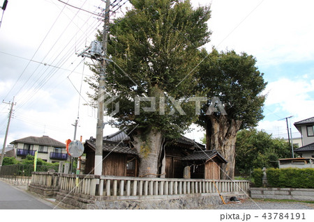 茨城県真壁の町並み(御陣屋通りの愛宕神社) 茨城県真壁の町並み(御陣屋通りの愛宕神社) 43784191