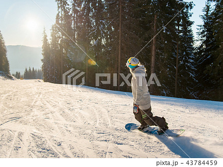 Young woman snowboarding on the slope on a beautiful winter sunny evening copyspace sunlight sunset 43784459