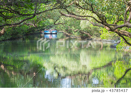 景色 風景 水 43785437
