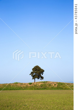 ジョンブクドン土星 タ 私的 43785641