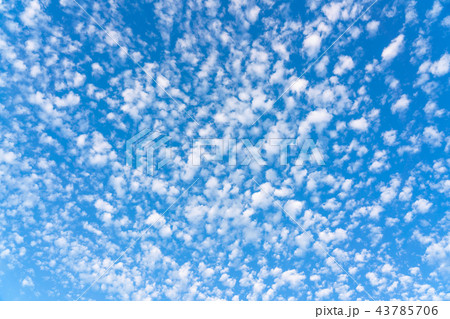 うろこ雲　秋の空 43785706