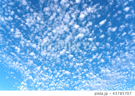 うろこ雲 秋の空 うろこ雲 秋の空 43785707