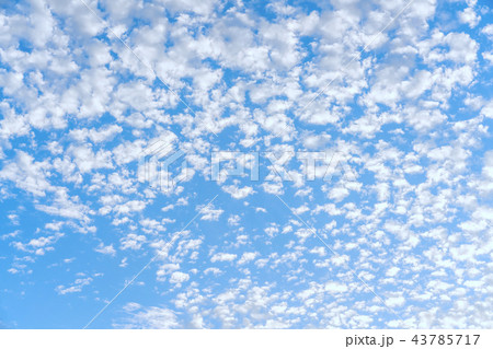 うろこ雲 秋の空 うろこ雲 秋の空 43785717