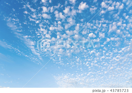 うろこ雲 秋の空 うろこ雲 秋の空 43785723