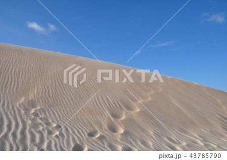 白い砂漠 風紋 青空の写真素材