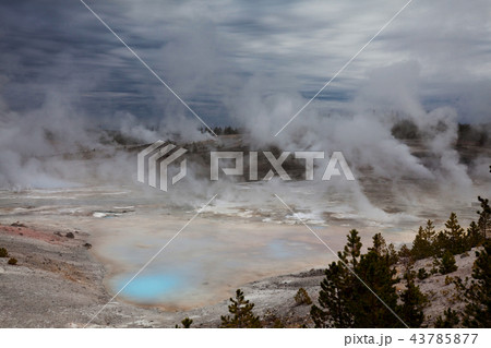 Yellowstone 43785877