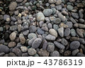 ストーン 石 石材 43786319