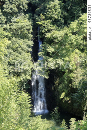 加治木の郷田滝 43786355