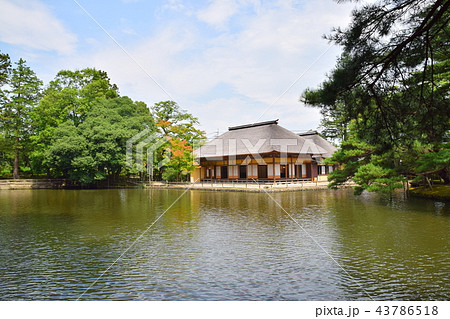 旧有備館 庭園 旧有備館 庭園 43786518