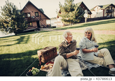 Happy smiling mature couple having picnic together 43786613