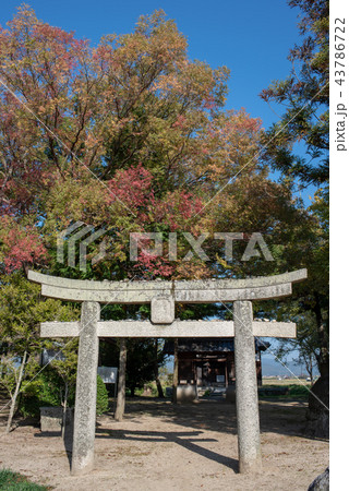 矢喰の岩公園 43786722