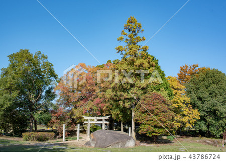 矢喰の岩公園 43786724