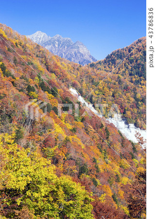 紅葉の安房峠から穂高連峰(縦) 紅葉の安房峠から穂高連峰(縦) 43786836