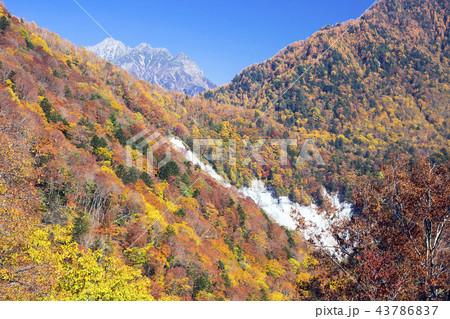 紅葉の安房峠から穂高連峰 43786837