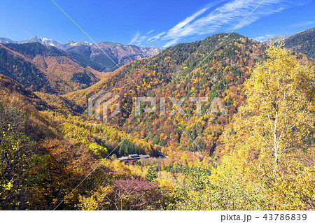 紅葉の白骨温泉と乗鞍岳 43786839