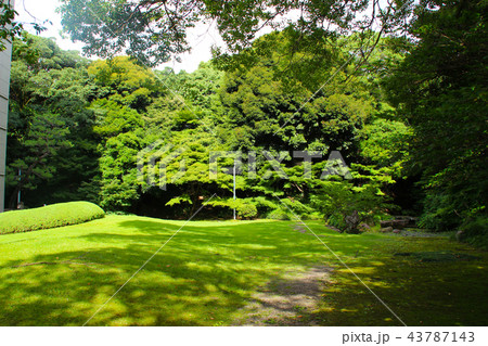 三の丸庭園/愛知県名古屋市中区三の丸 三の丸庭園/愛知県名古屋市中区三の丸 43787143