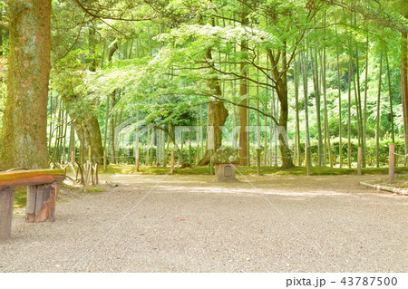 旧有備館 庭園 旧有備館 庭園 43787500