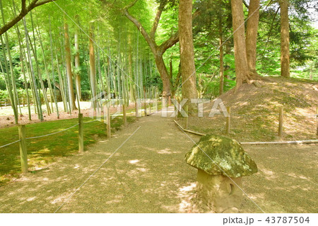 旧有備館 庭園 旧有備館 庭園 43787504