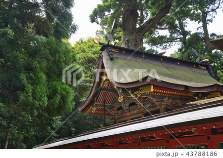 東国三社 鹿島神宮 東国三社 鹿島神宮 43788186