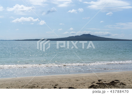 auckland beach view auckland beach view 43788470