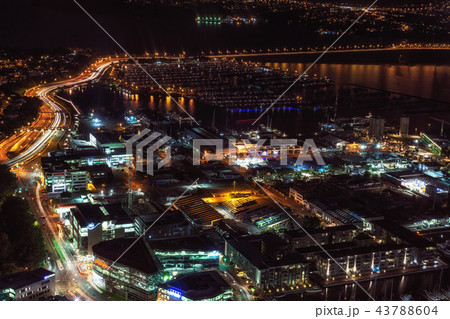 auckland night view auckland night view 43788604
