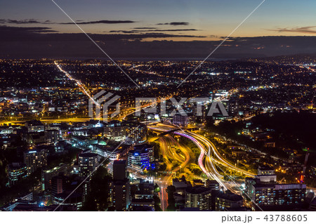auckland night view auckland night view 43788605