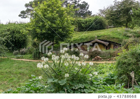 hobbit holes 43788668
