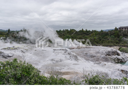 te puia geothermal valley 43788778