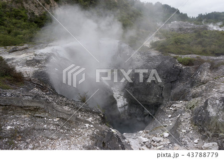 te puia geothermal valley te puia geothermal valley 43788779