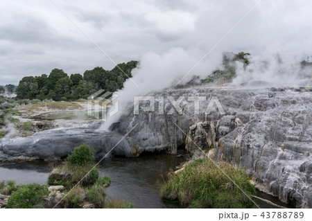 te puia geothermal valley 43788789