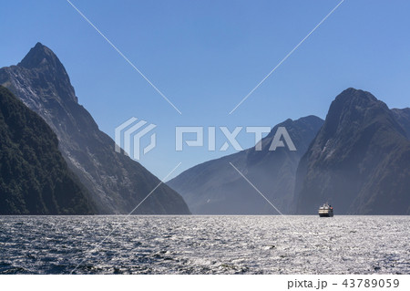 Milford sound 43789059