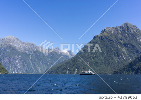 Milford sound cruise 43789063