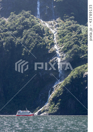 Milford sound 43789135