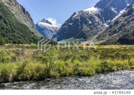 hollyford valley creek 43789190