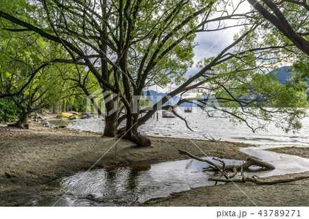 lake wakatipu view in queenstown lake wakatipu view in queenstown 43789271